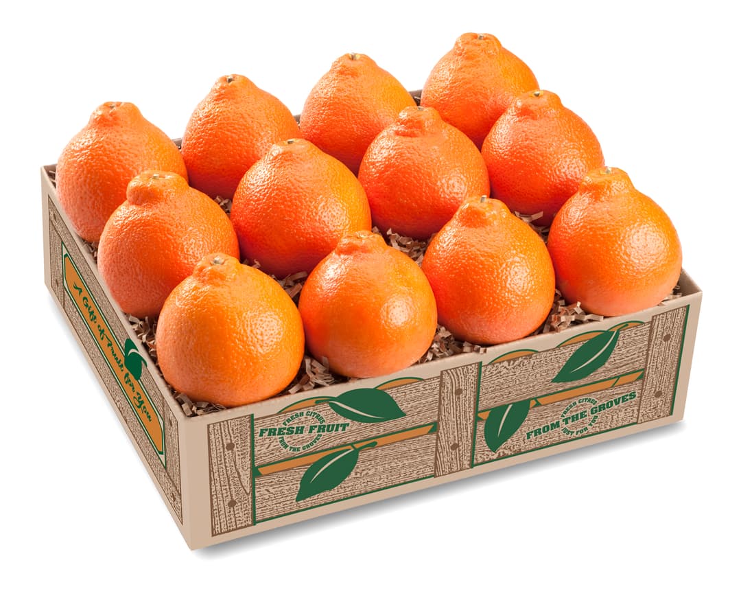 Fresh Florida Honeybells from Pell's Citrus
